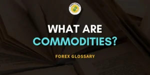 Commodities in Trading 📖 Forex Glossary [2024’s Edition]