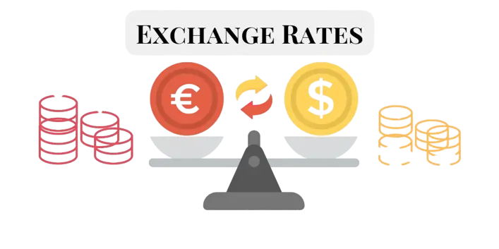 Understanding Exchange Rates