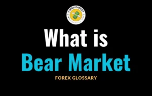 Bear Market in Forex Trading 📖 Forex Glossary [2024’s Edition]