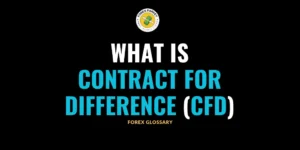 Contract for Difference (CFD) in Forex Trading 📖 Forex Glossary [2024’s Edition]