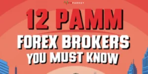 2025 Finest | 12 PAMM Forex Brokers You Must Know