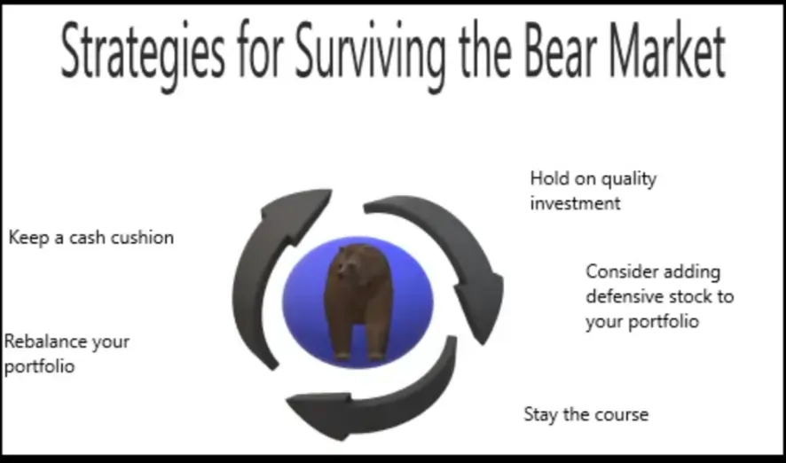 Strategies for Surviving the Bear Market