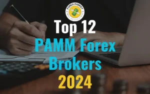 2024’s Finest | 12 PAMM Forex Brokers You Must Know
