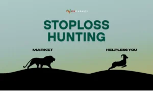 Stop Loss Hunting