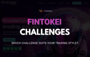 Fintokei Challenges